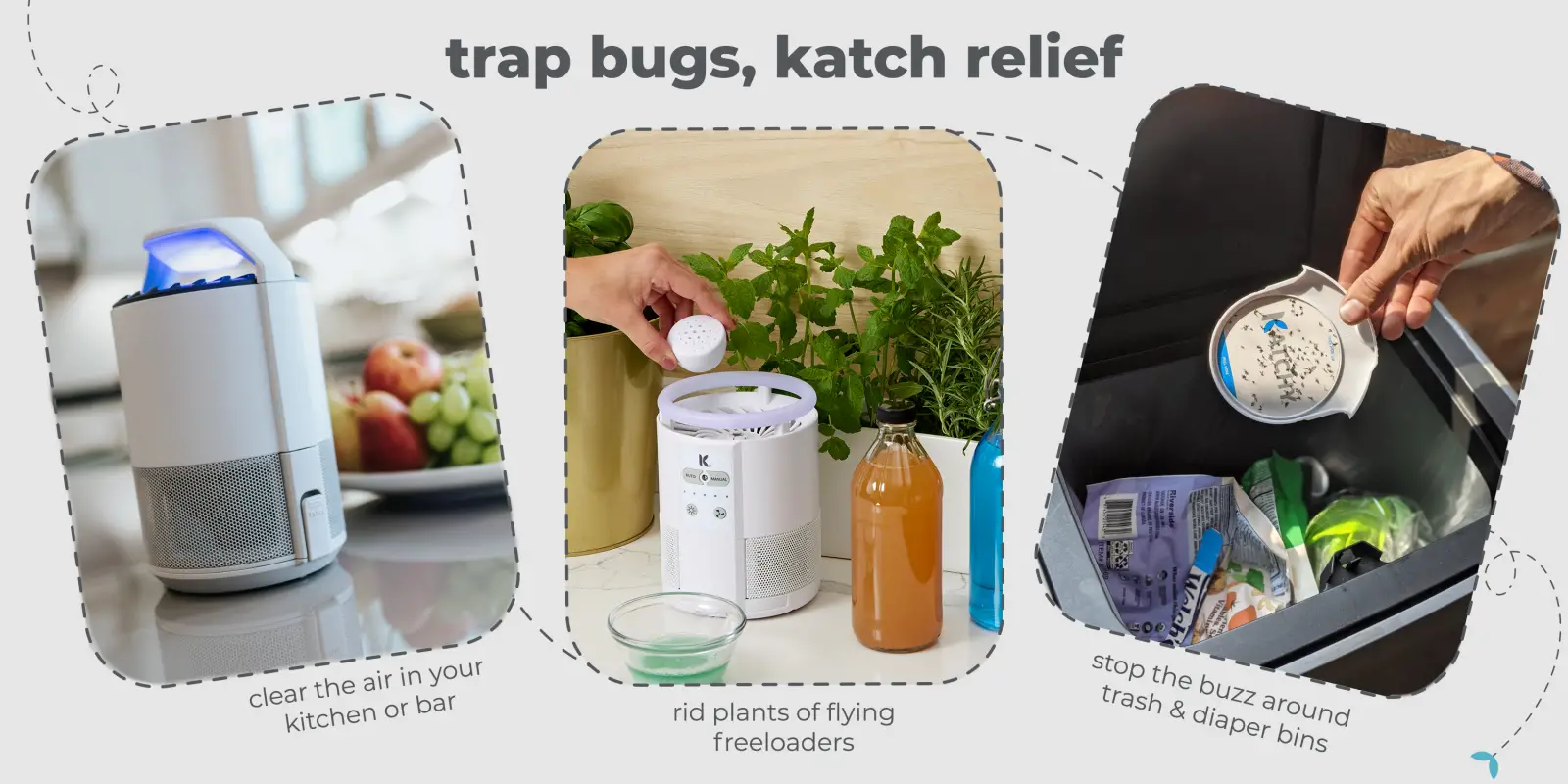 From Frustration to Innovation: The Story of Katchy's Indoor Insect Trap